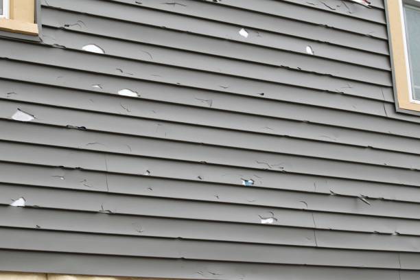 Affordable Siding Repair and Maintenance Services in Friendswood, TX